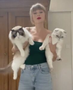 how can you meet taylor swift